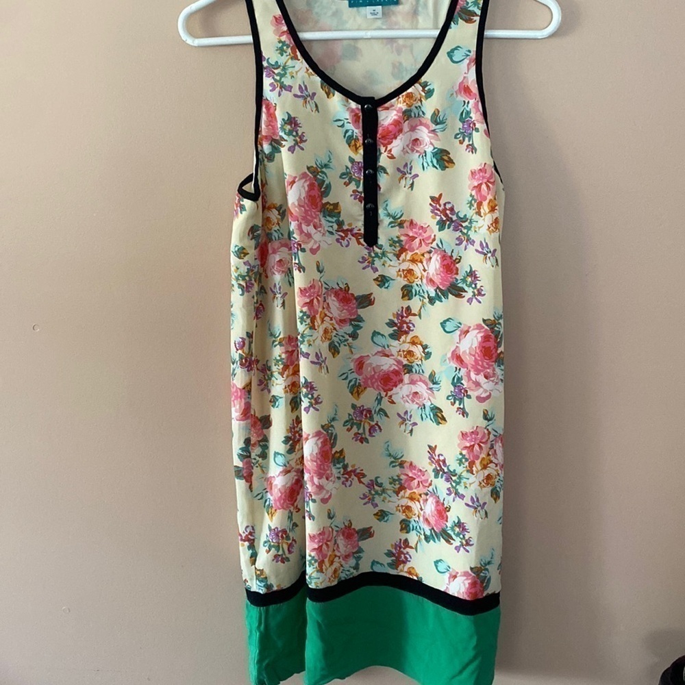Pim + Larkin dress Anthropologie